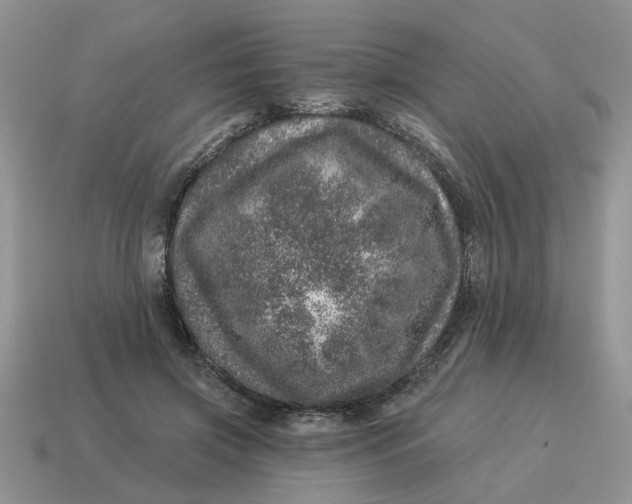X0000114490549200911091051