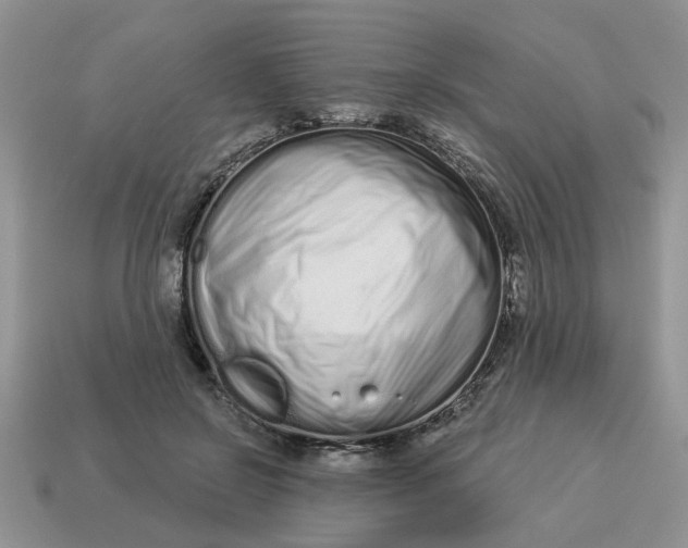 X0000114490550200911091051