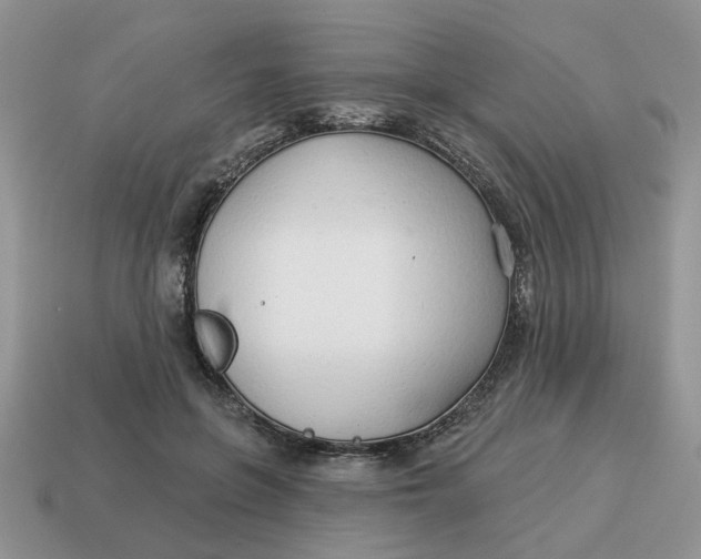 X0000114490551200911091051