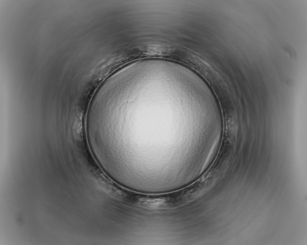 X0000114490554200911091051