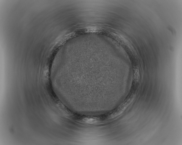 X0000114490557200911091051