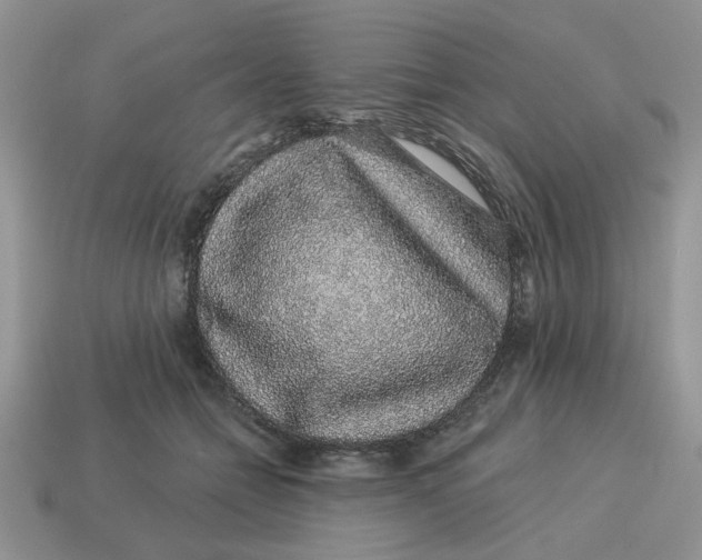 X0000114490558200911091051
