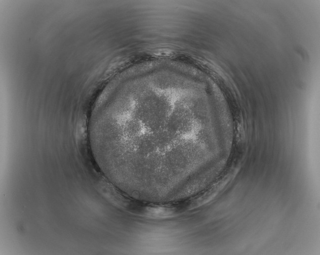 X0000114490561200911091051