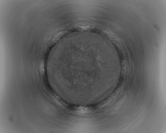 X0000114490562200911091051