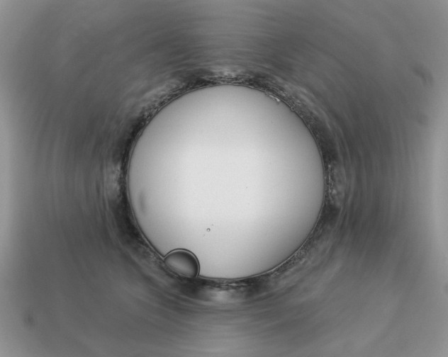 X0000114490563200911091051