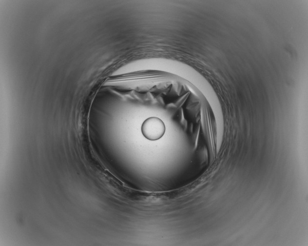 X0000114490566200911091051