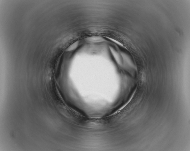X0000114490567200911091051