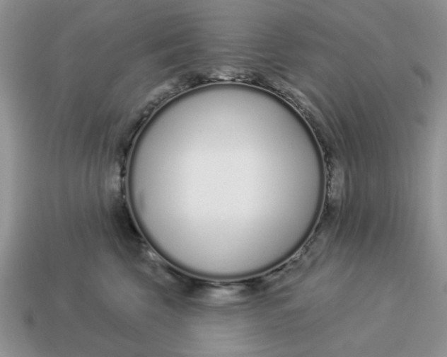 X0000114490569200911091051