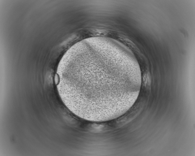 X0000114490570200911091051