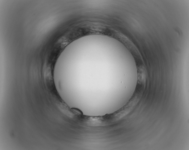 X0000114490573200911091051