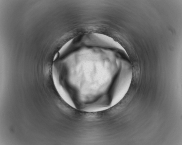 X0000114490574200911091051