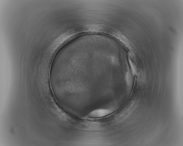 X0000114490577200911091050
