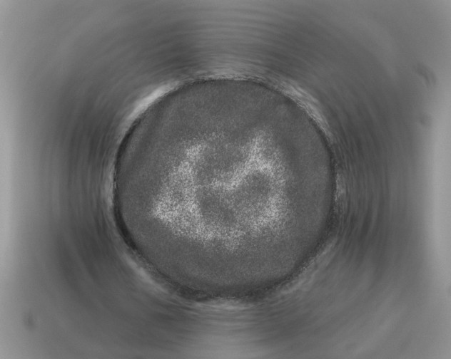 X0000114490578200911091050