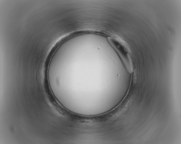 X0000114490580200911091050