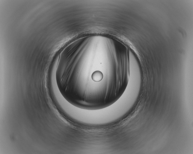 X0000114490581200911091050