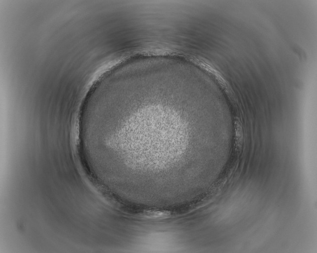 X0000114490582200911091050
