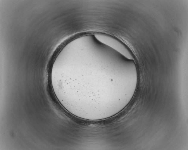 X0000114490584200911091050