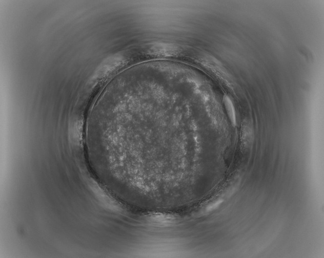 X0000114490585200911091050
