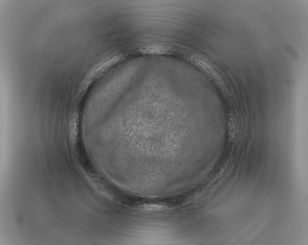 X0000114490586200911091050