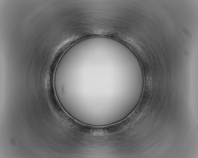 X0000114490587200911091050