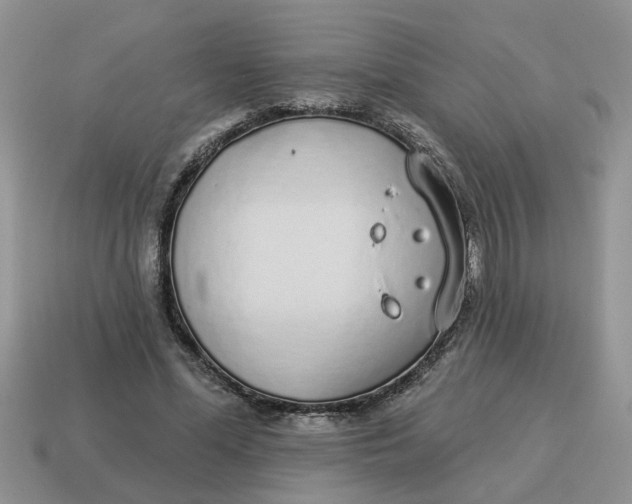 X0000114490588200911091050