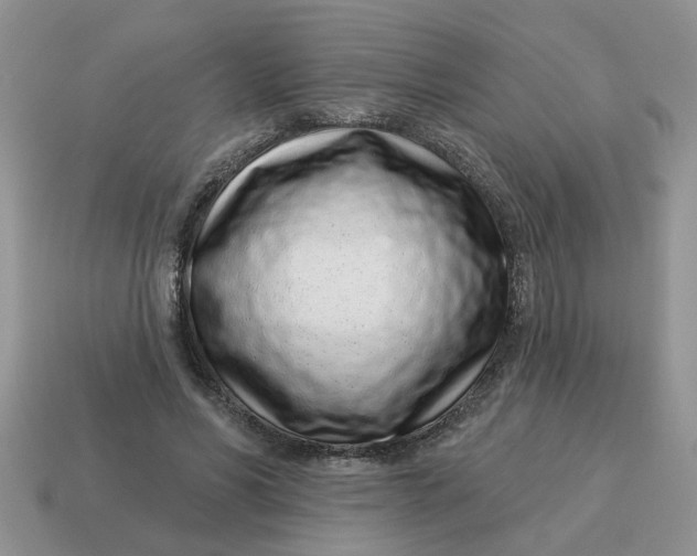 X0000114490590200911091050