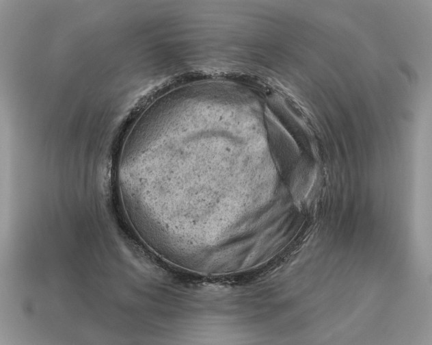X0000114490592200911091050