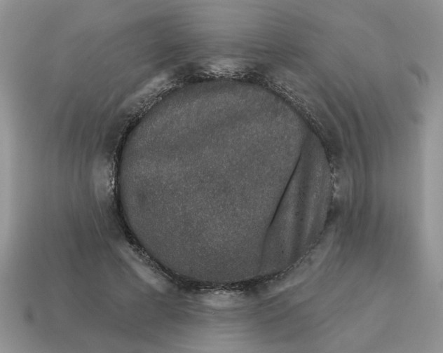X0000114490593200911091050