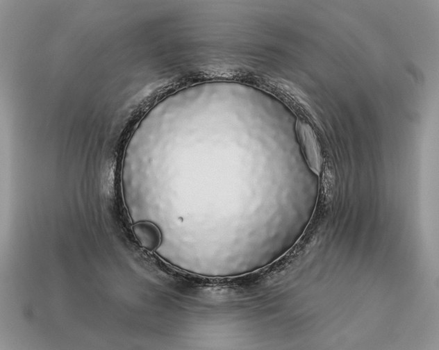 X0000114490596200911091050