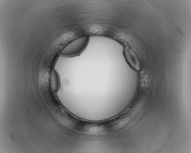 X0000114490597200911091050