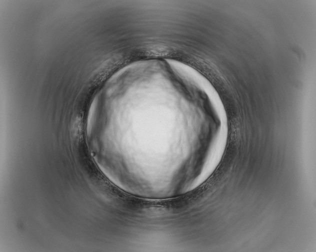 X0000114490598200911091050