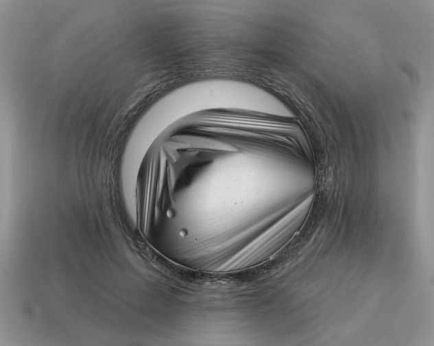 X0000114490599200911091050