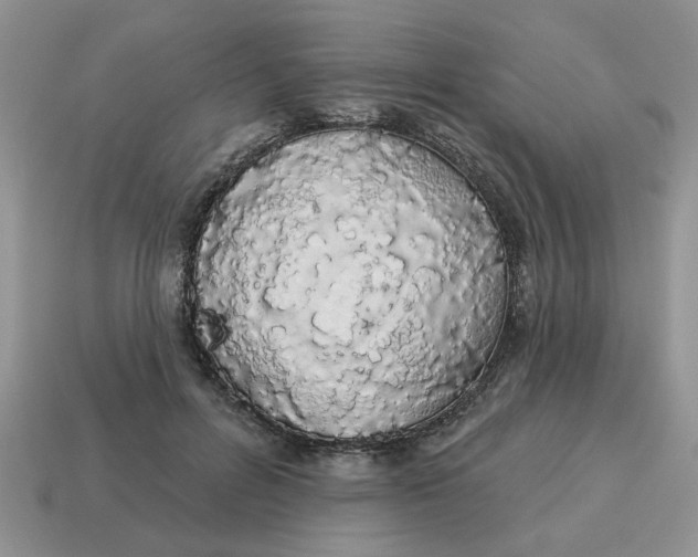 X0000114490600200911091050
