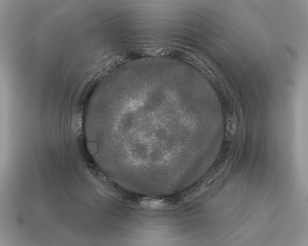 X0000114490602200911091050