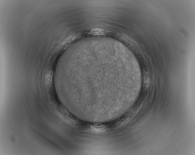 X0000114490603200911091050