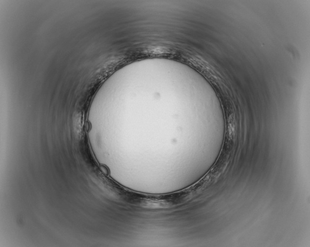 X0000114490605200911091050