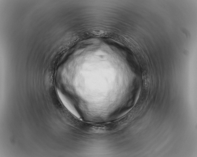 X0000114490606200911091050