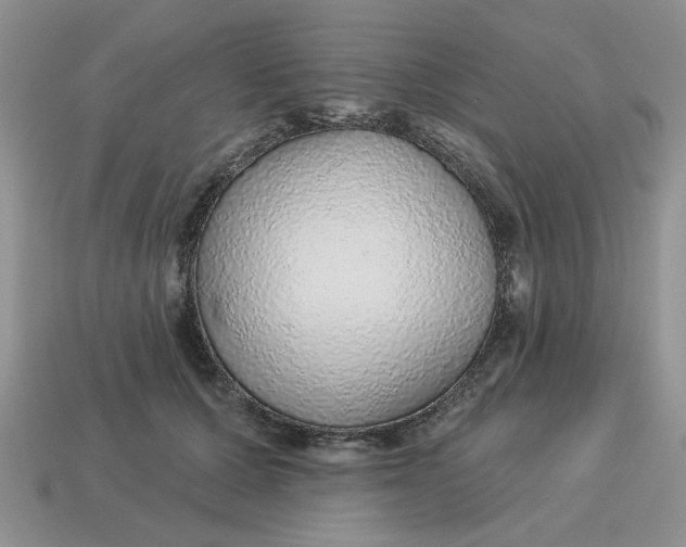 X0000114490607200911091050