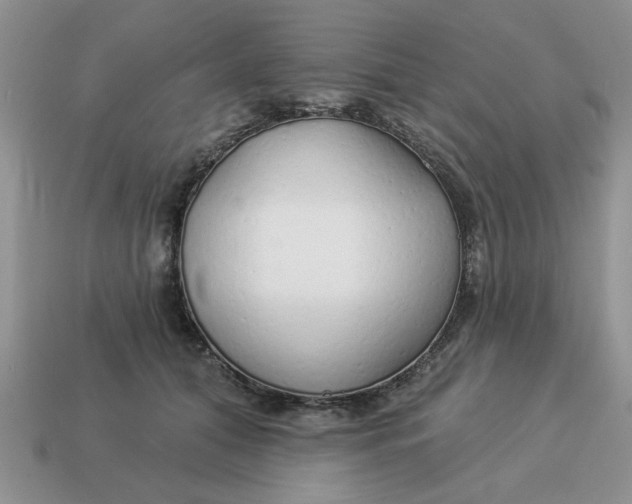 X0000114490608200911091050