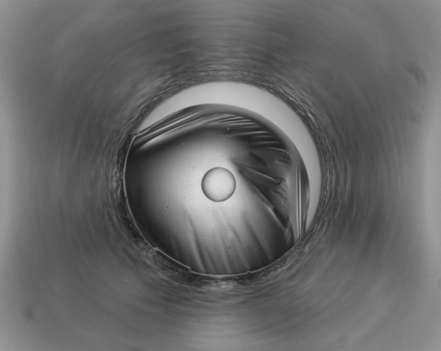 X0000114490609200911091050