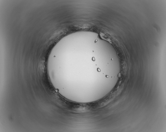 X0000114490612200911091050