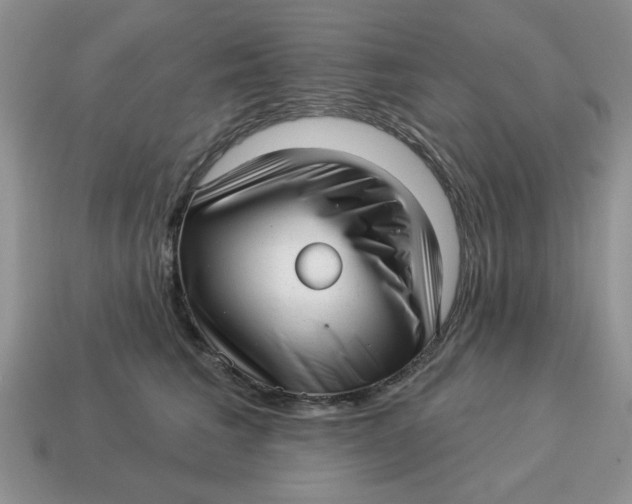 X0000114490613200911091050