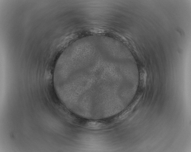 X0000114490614200911091050