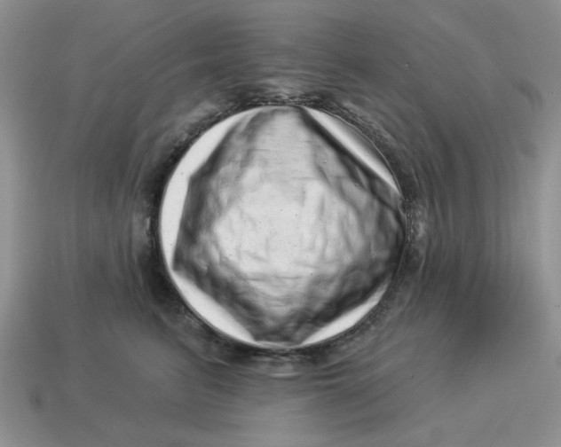 X0000114490615200911091050