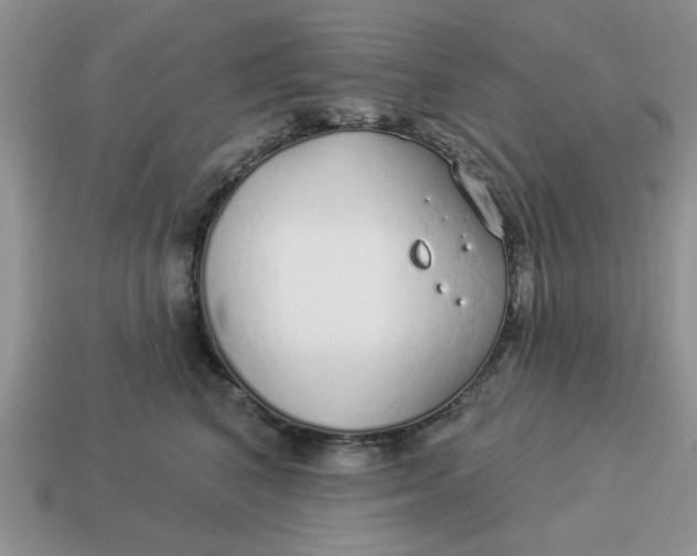 X0000114490616200911091050