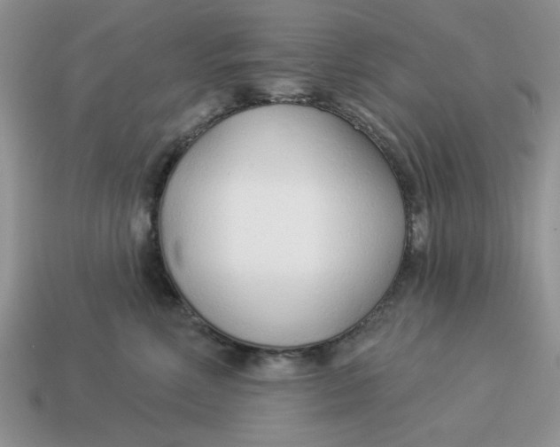 X0000114490618200911091050