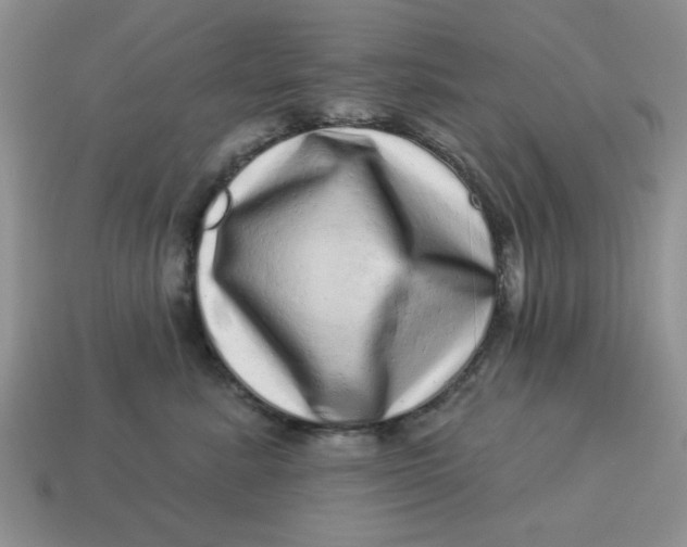 X0000114490619200911091050