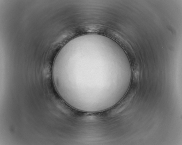 X0000114490620200911091050