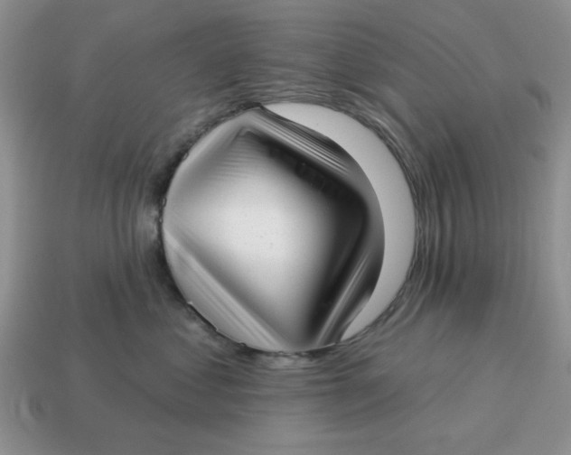 X0000114490621200911091050