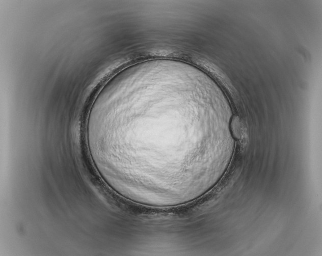 X0000114490626200911091049